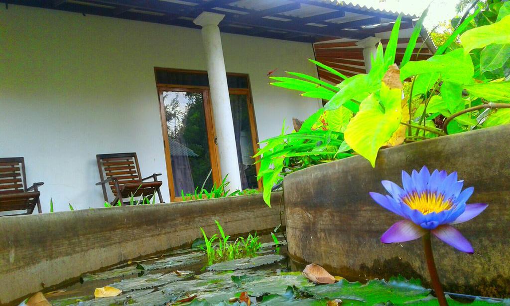 River Retreat Sigiriya Eksteriør bilde