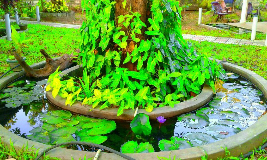 River Retreat Sigiriya Eksteriør bilde